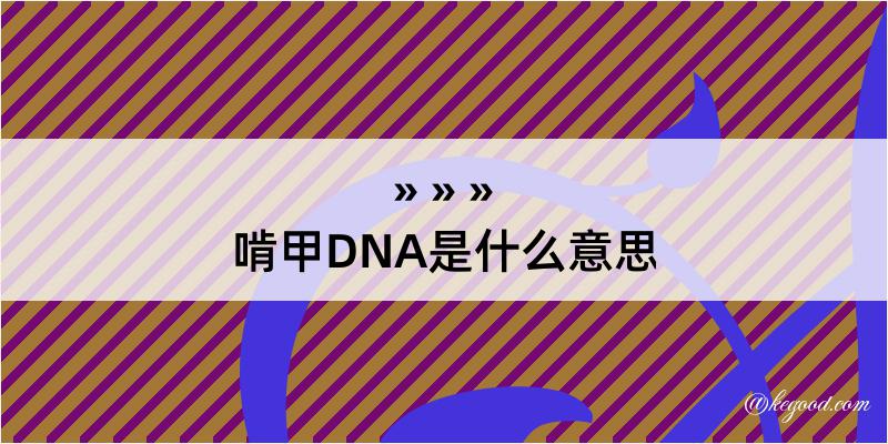 啃甲DNA是什么意思