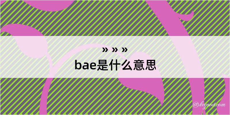 bae是什么意思