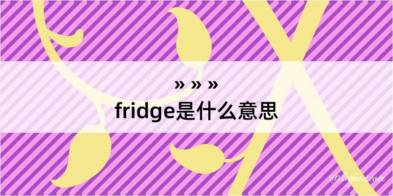 fridge是什么意思