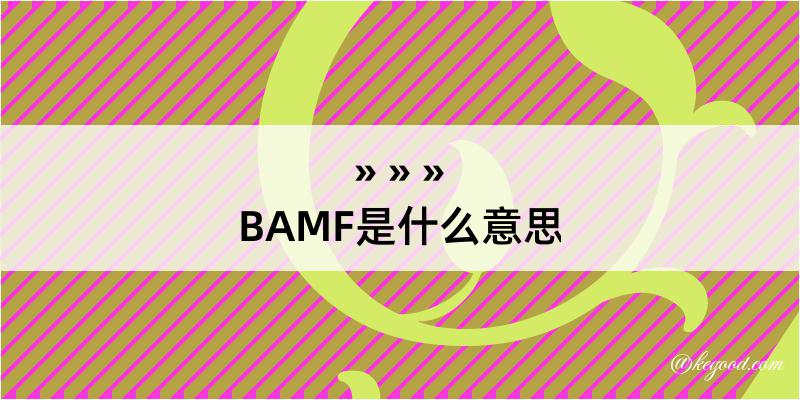 BAMF是什么意思