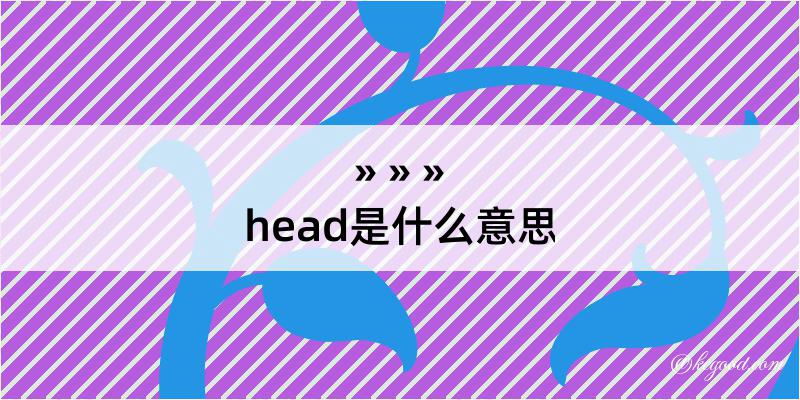 head是什么意思