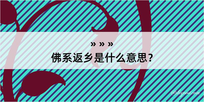 佛系返乡是什么意思？