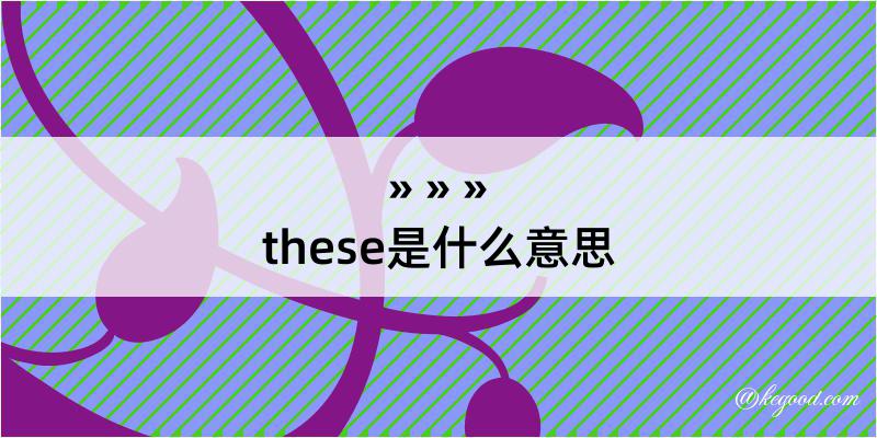 these是什么意思