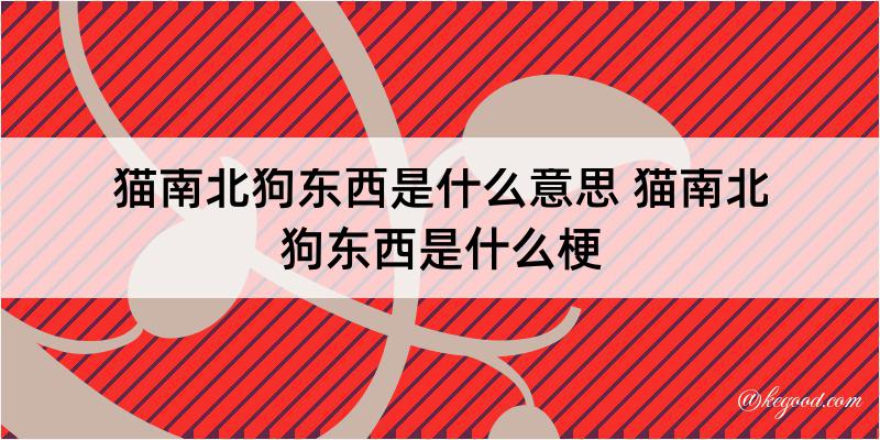 猫南北狗东西是什么意思 猫南北狗东西是什么梗