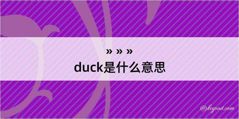 duck是什么意思