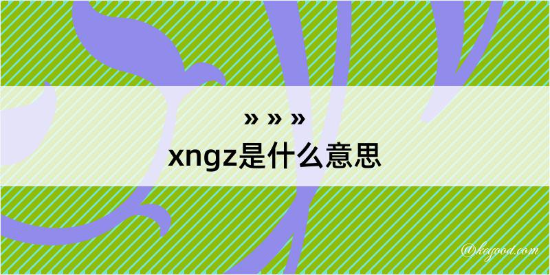 xngz是什么意思