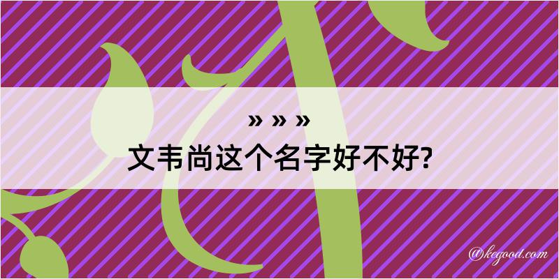 文韦尚这个名字好不好?