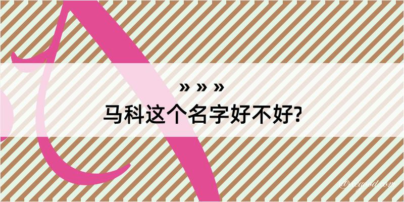 马科这个名字好不好?