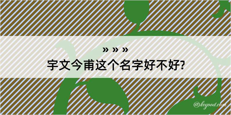 宇文今甫这个名字好不好?