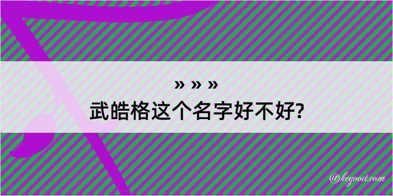 武皓格这个名字好不好?