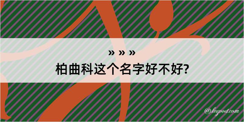 柏曲科这个名字好不好?