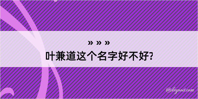 叶兼道这个名字好不好?