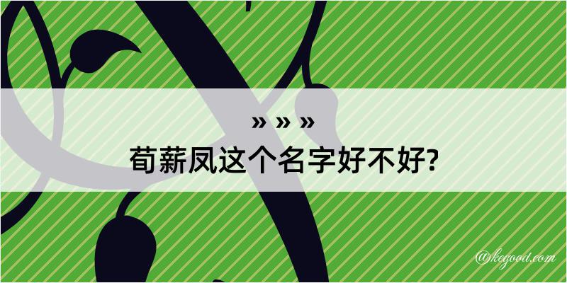 荀薪凤这个名字好不好?