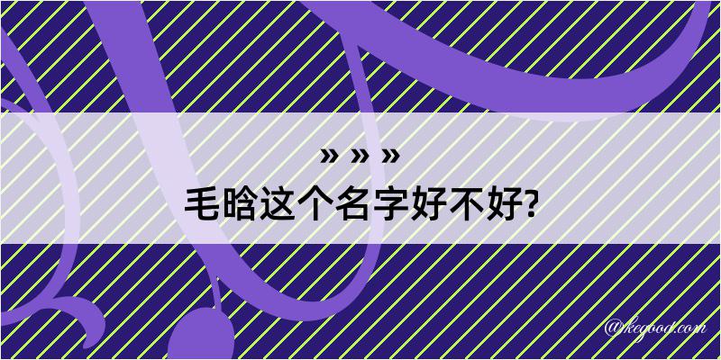 毛晗这个名字好不好?