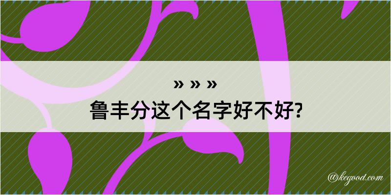 鲁丰分这个名字好不好?