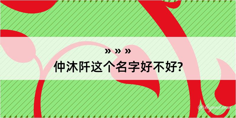 仲沐阡这个名字好不好?