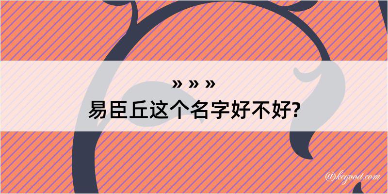 易臣丘这个名字好不好?