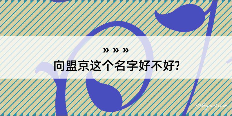 向盟京这个名字好不好?