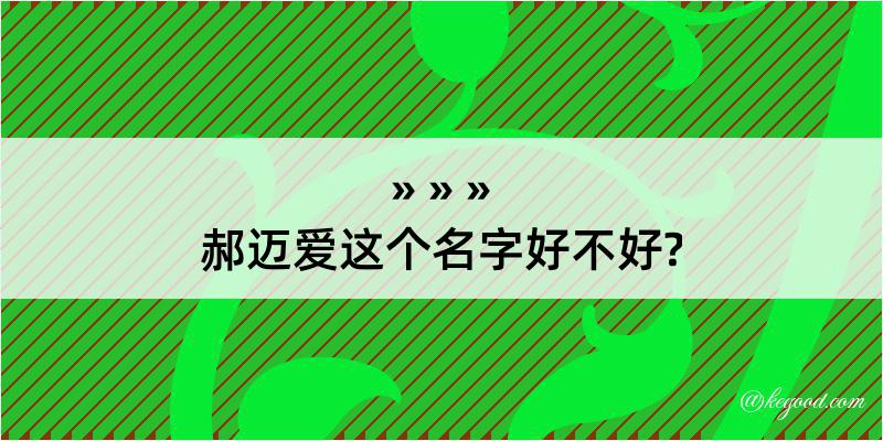 郝迈爱这个名字好不好?