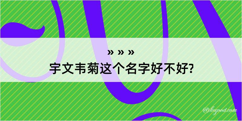 宇文韦菊这个名字好不好?