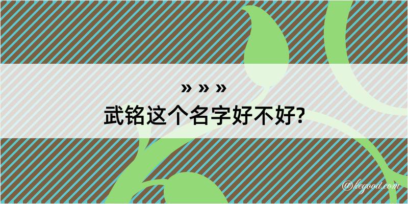 武铭这个名字好不好?