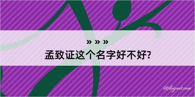 孟致证这个名字好不好?