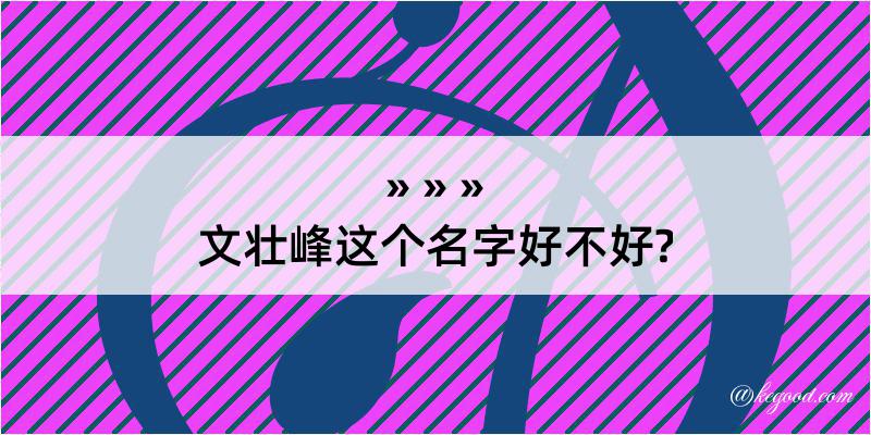 文壮峰这个名字好不好?