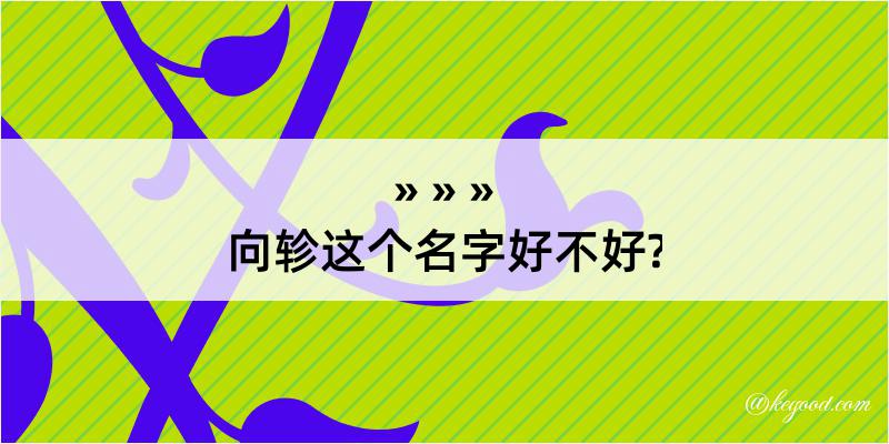 向轸这个名字好不好?