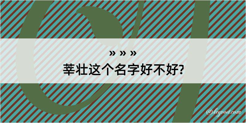 莘壮这个名字好不好?