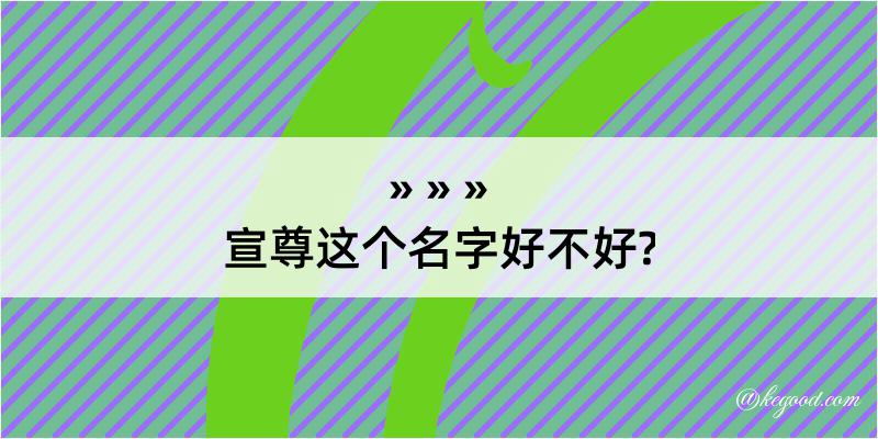 宣尊这个名字好不好?