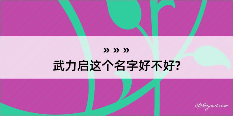 武力启这个名字好不好?