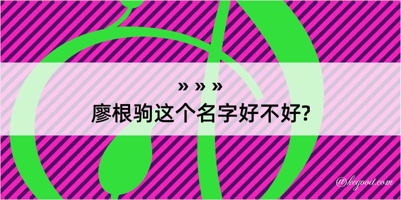 廖根驹这个名字好不好?