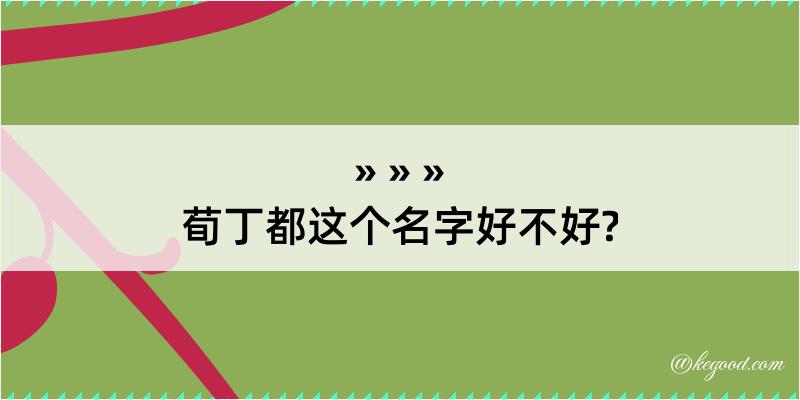 荀丁都这个名字好不好?