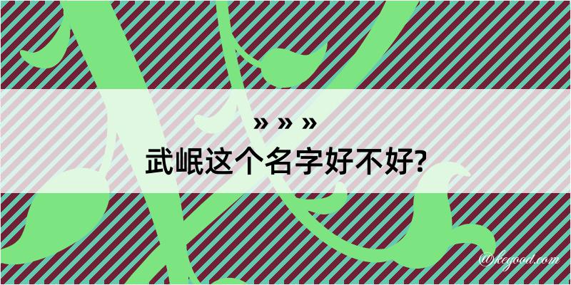 武岷这个名字好不好?