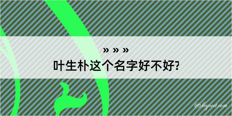 叶生朴这个名字好不好?