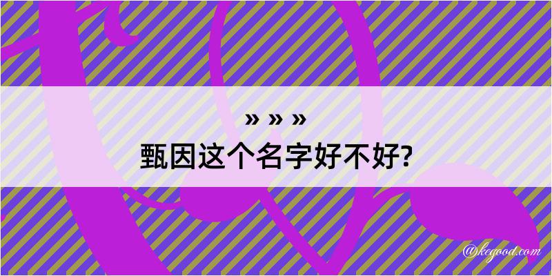 甄因这个名字好不好?