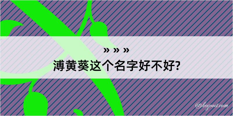 溥黄葵这个名字好不好?