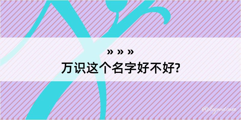 万识这个名字好不好?