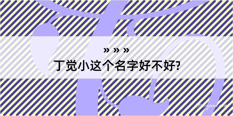 丁觉小这个名字好不好?