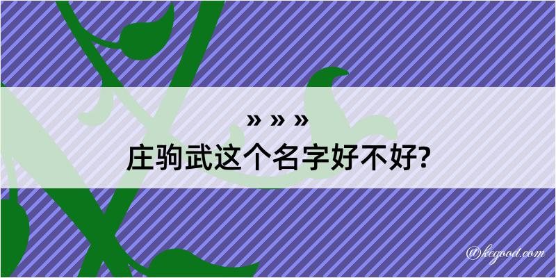 庄驹武这个名字好不好?