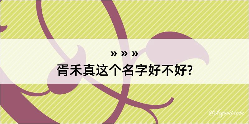 胥禾真这个名字好不好?