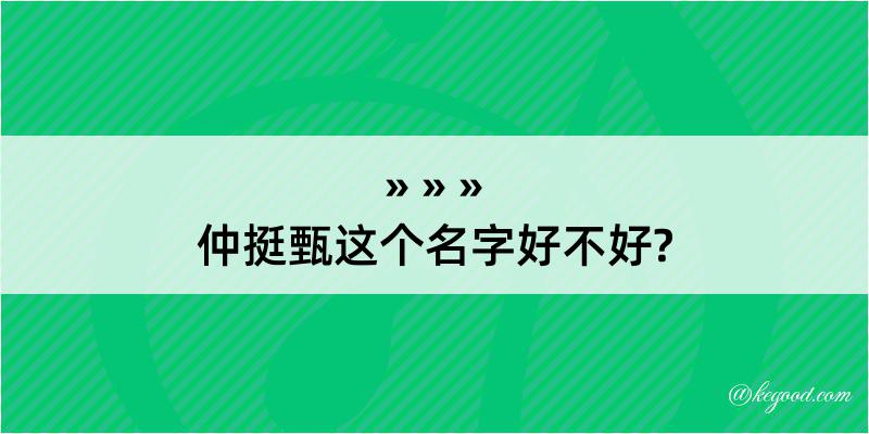 仲挺甄这个名字好不好?