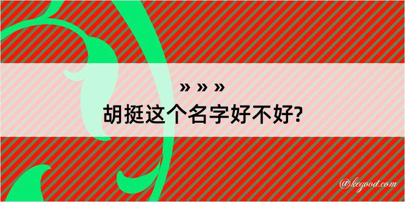 胡挺这个名字好不好?