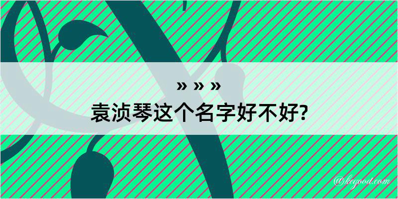 袁浈琴这个名字好不好?