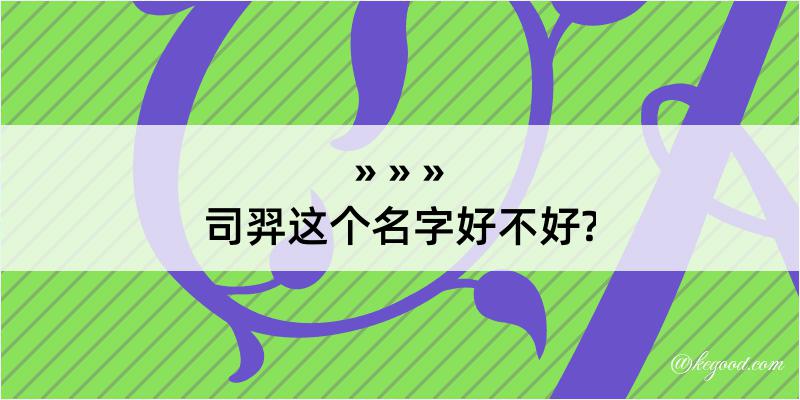 司羿这个名字好不好?