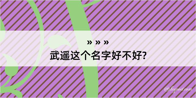 武遥这个名字好不好?