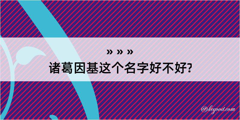 诸葛因基这个名字好不好?