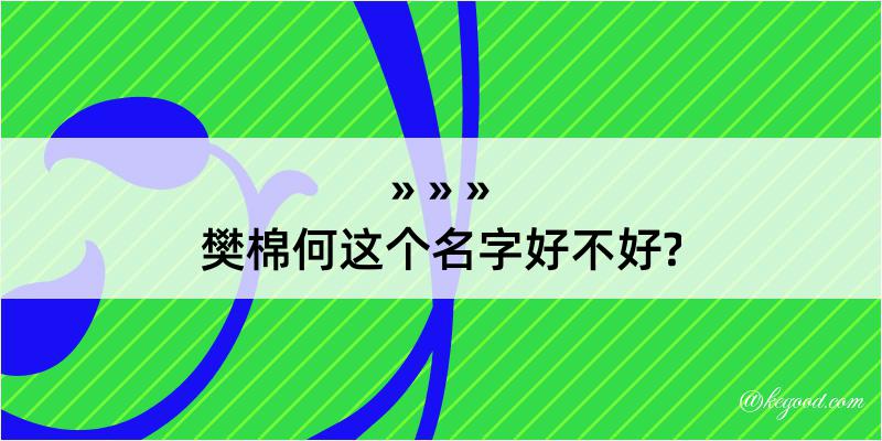 樊棉何这个名字好不好?