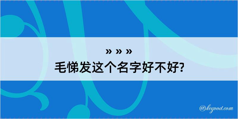 毛悌发这个名字好不好?