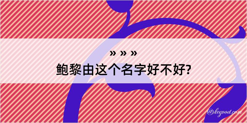 鲍黎由这个名字好不好?